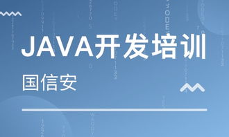 成都四川國信安職業(yè)培訓(xùn)學(xué)校 河北新聞網(wǎng)推薦品牌，專注軟件外包服務(wù)